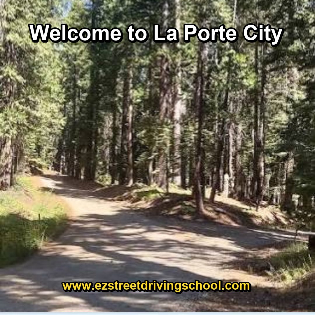 Driving Lessons in La Porte